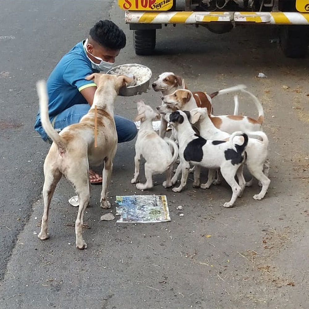 66b1a48435612e280c47e362_1722918020079