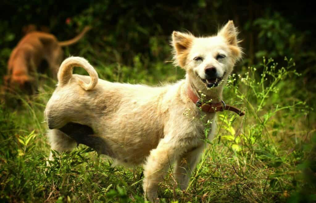 tuxpi.com_.1640367629-scaled-1024x658-1